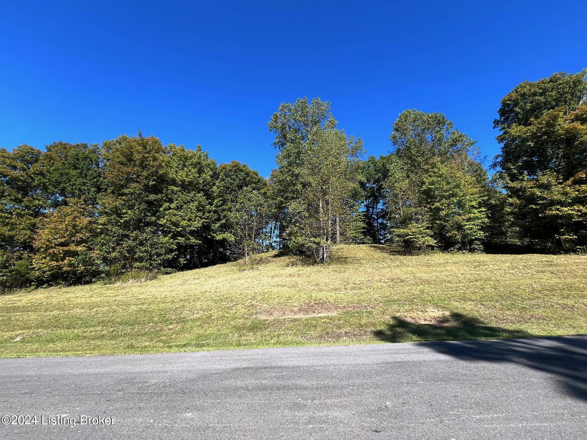 Falls Of Rough, KY 40119,59 Patriot Heights Ln