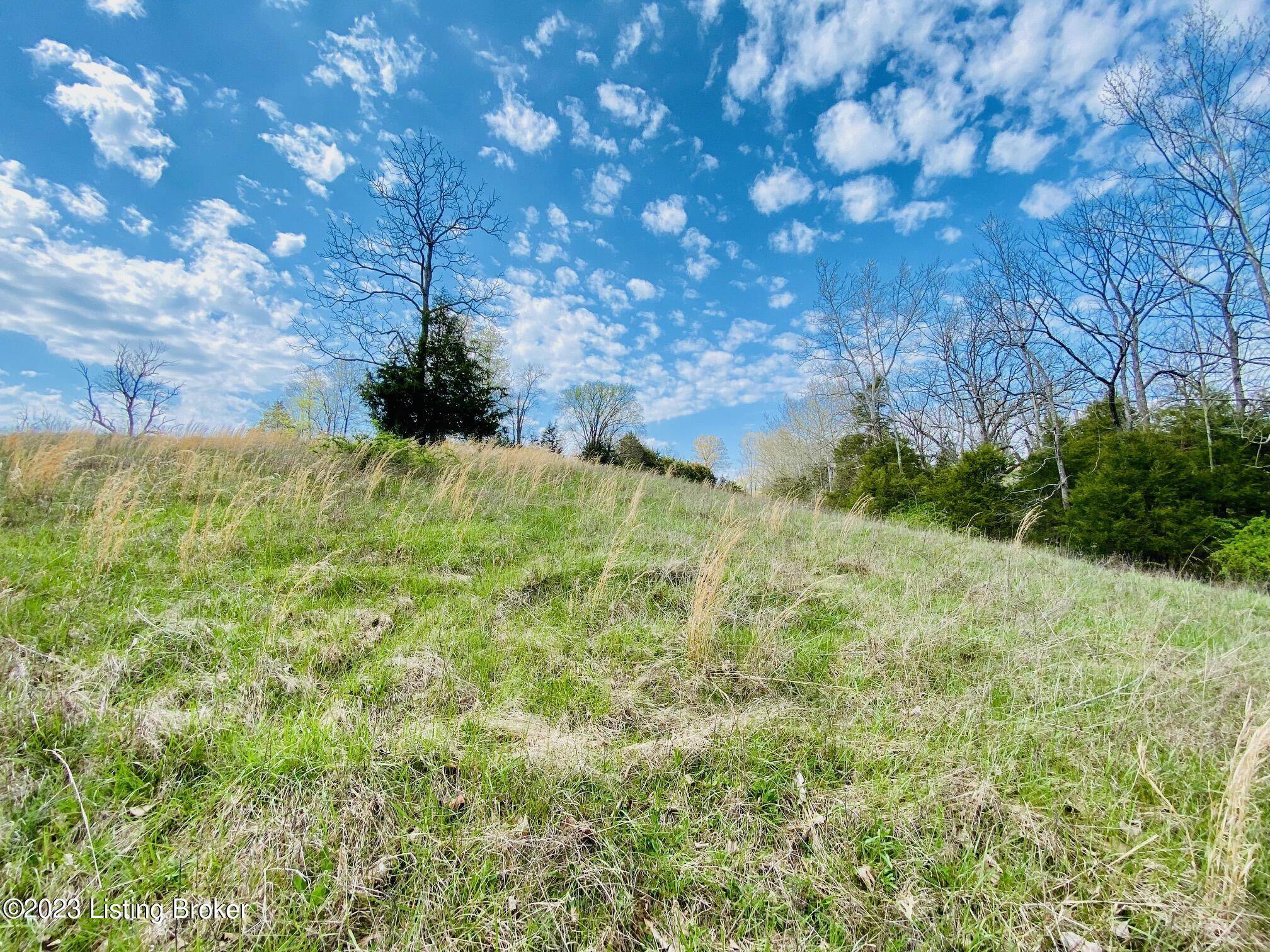 Harrodsburg, KY 40330,Lot#19 East Fork Rd