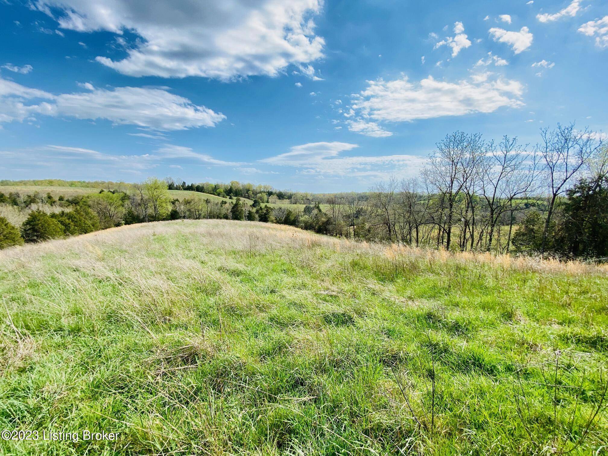 Harrodsburg, KY 40330,Lot#19 East Fork Rd