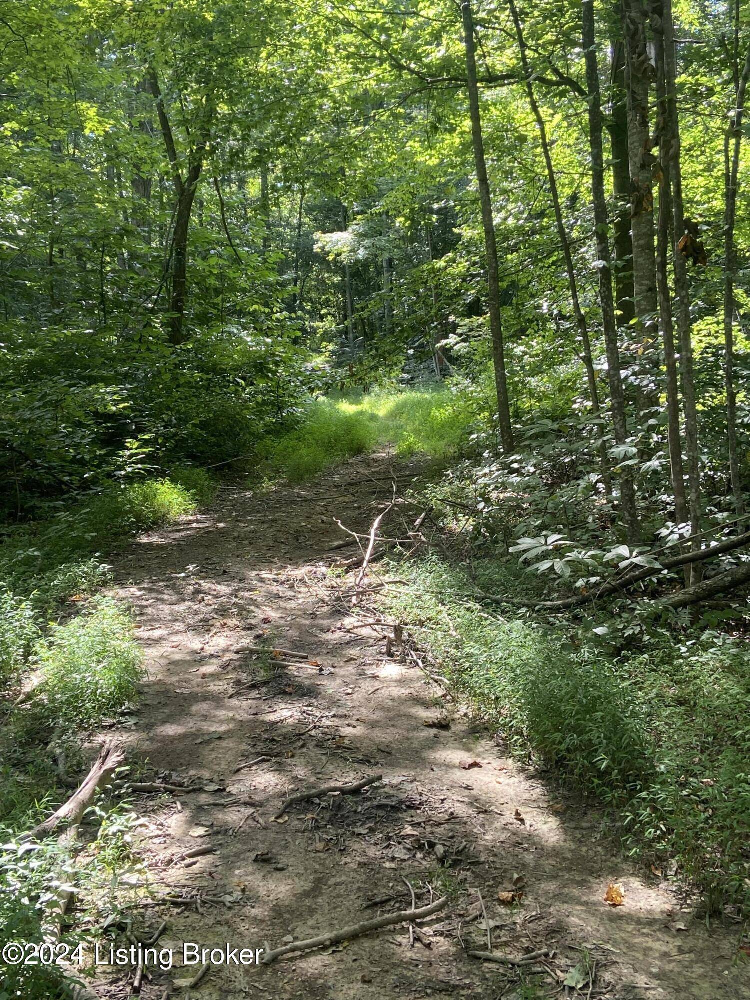 Columbia, KY 42728,0 Knifley Rd