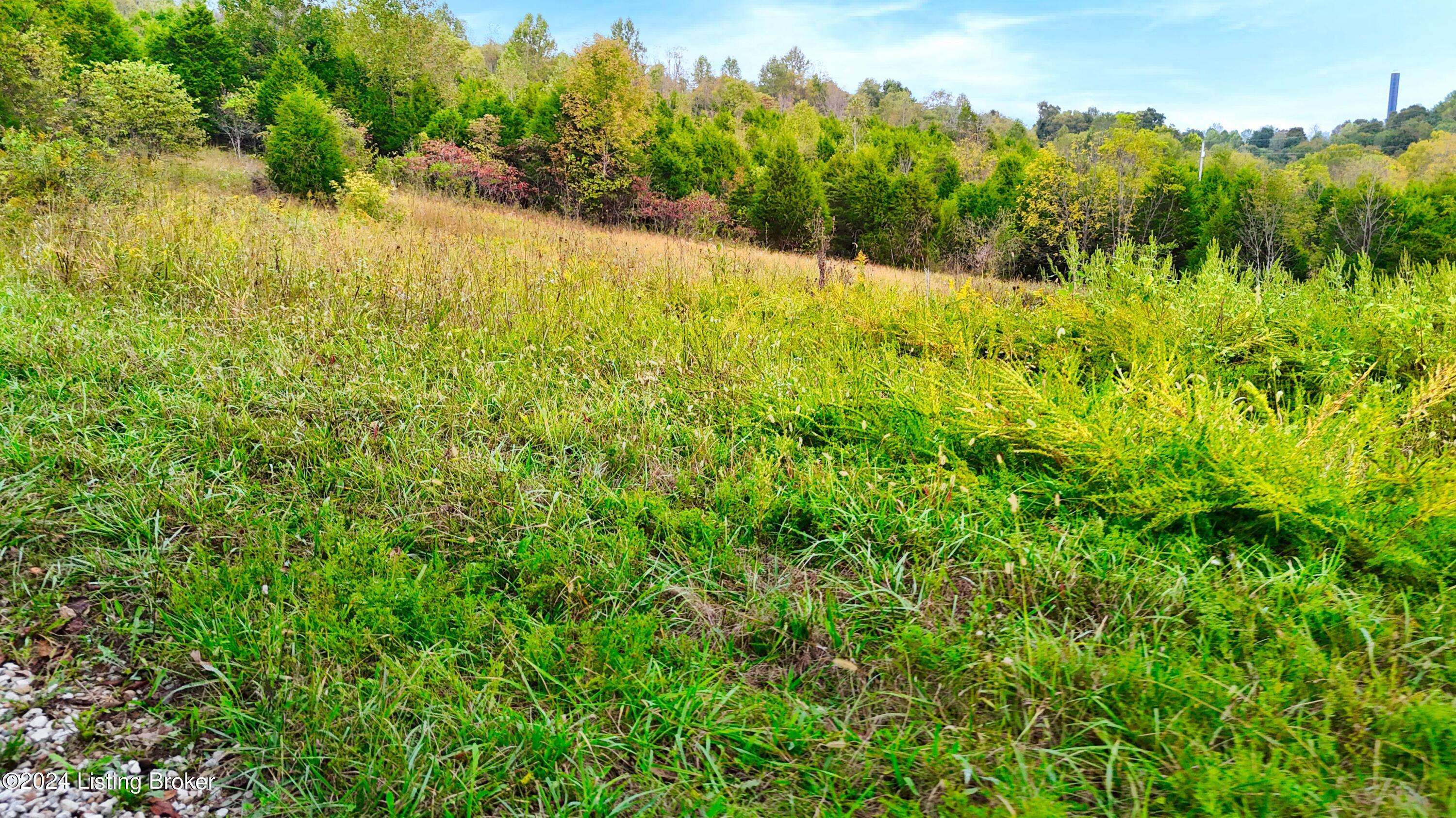 Hudson, KY 40145,Lot 0 Howard Tucker Ln