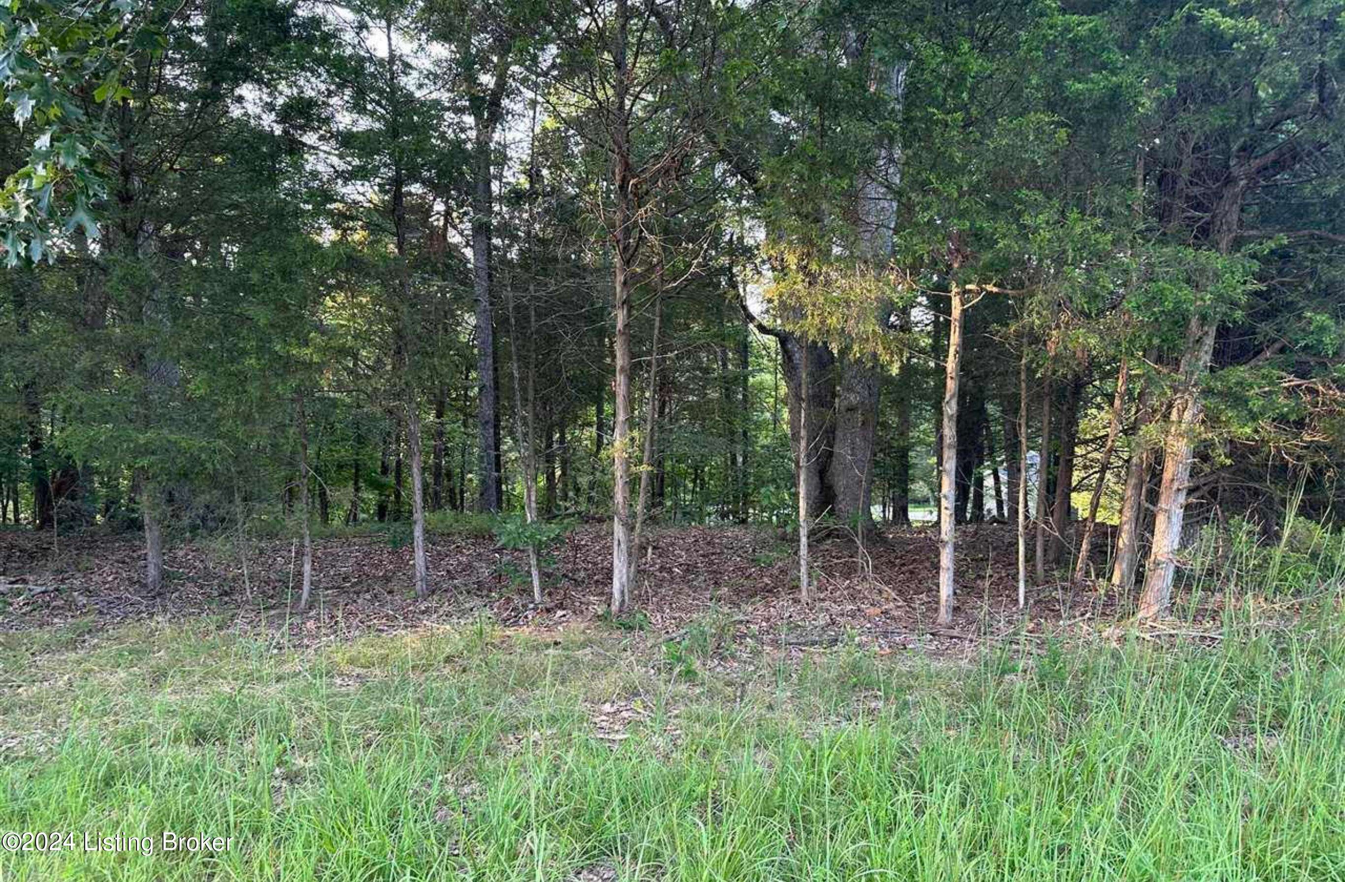 Brandenburg, KY 40108,Lot #539 Strawberry Hill Drive Dr