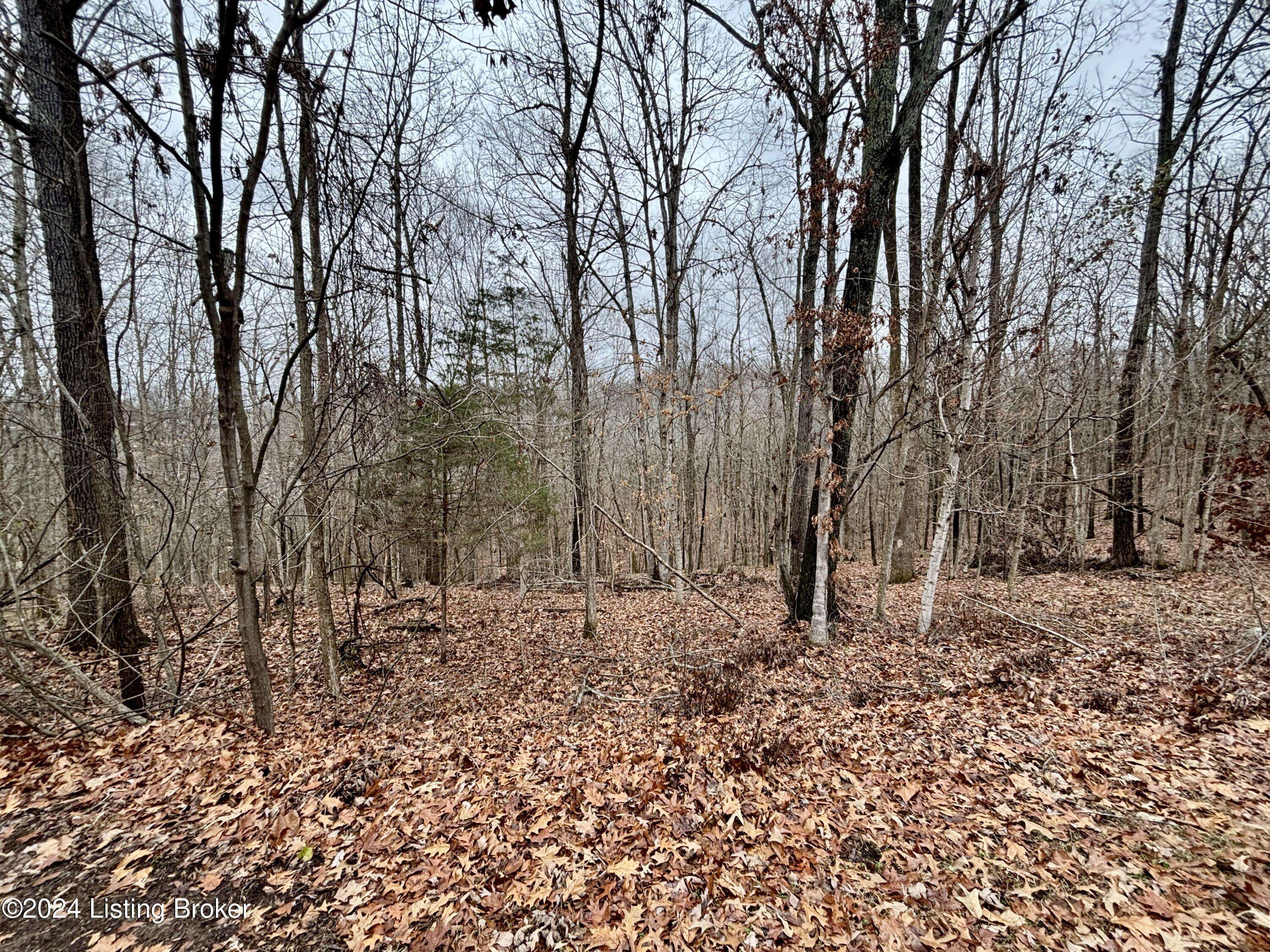 Brandenburg, KY 40108,Lot 108 Sunnyview Rd