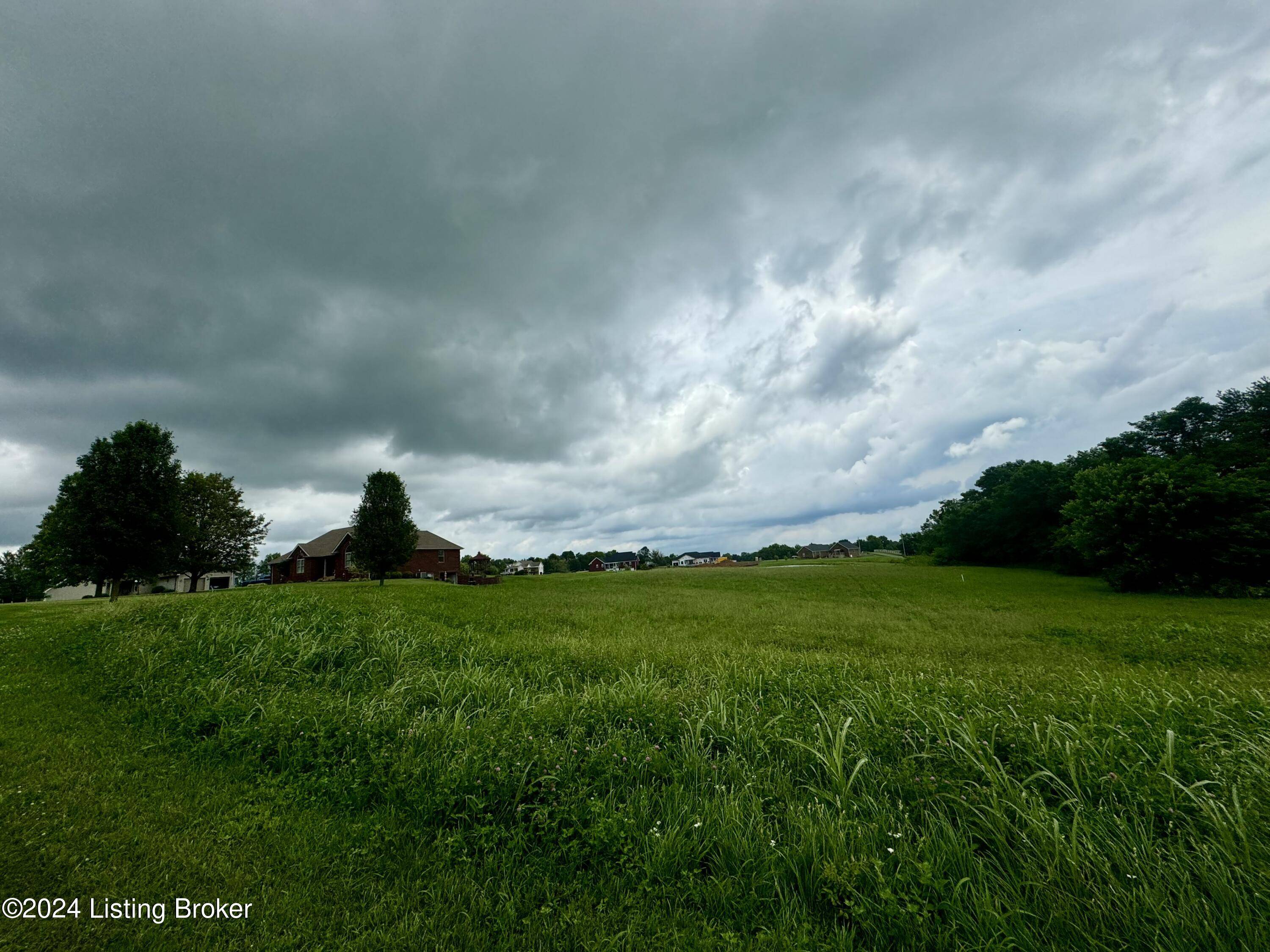 Springfield, KY 40069,4-5 Dominican View Dr
