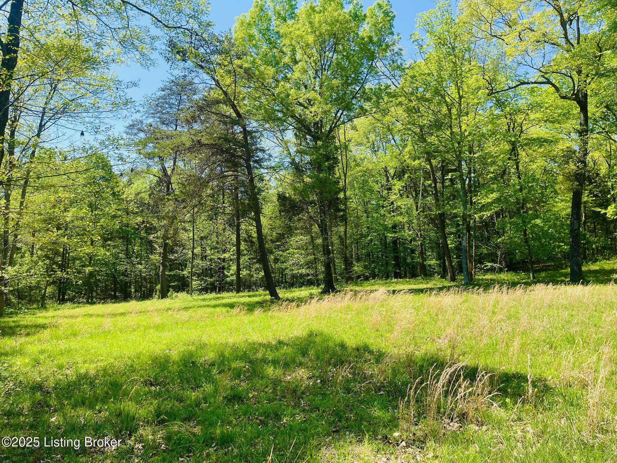 Falls Of Rough, KY 40119,1179 Patriots Landing Ln