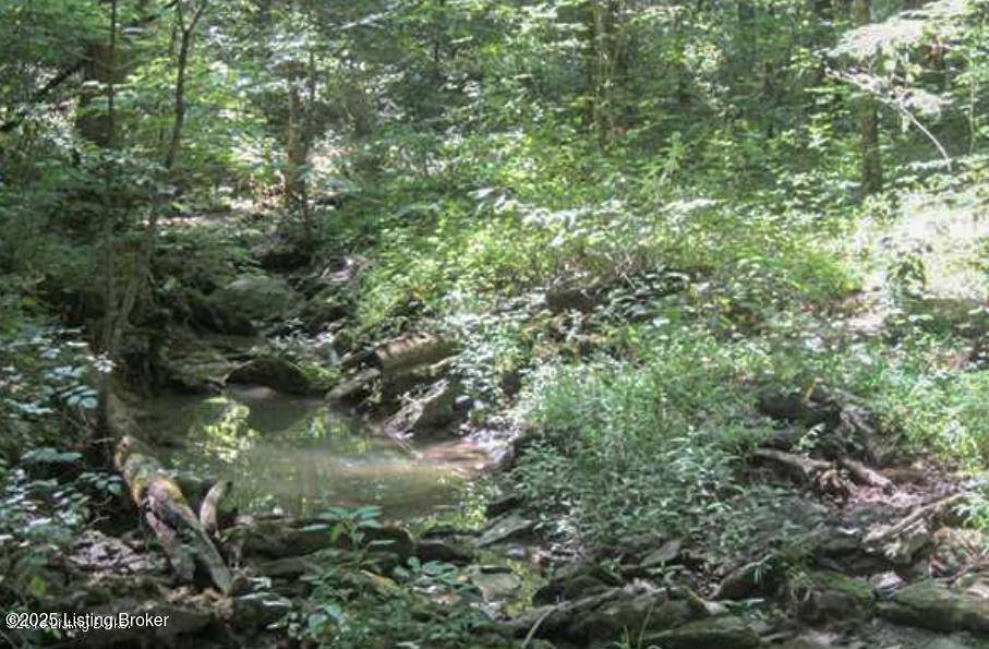 Bagdad, KY 40003,12 Vigo St