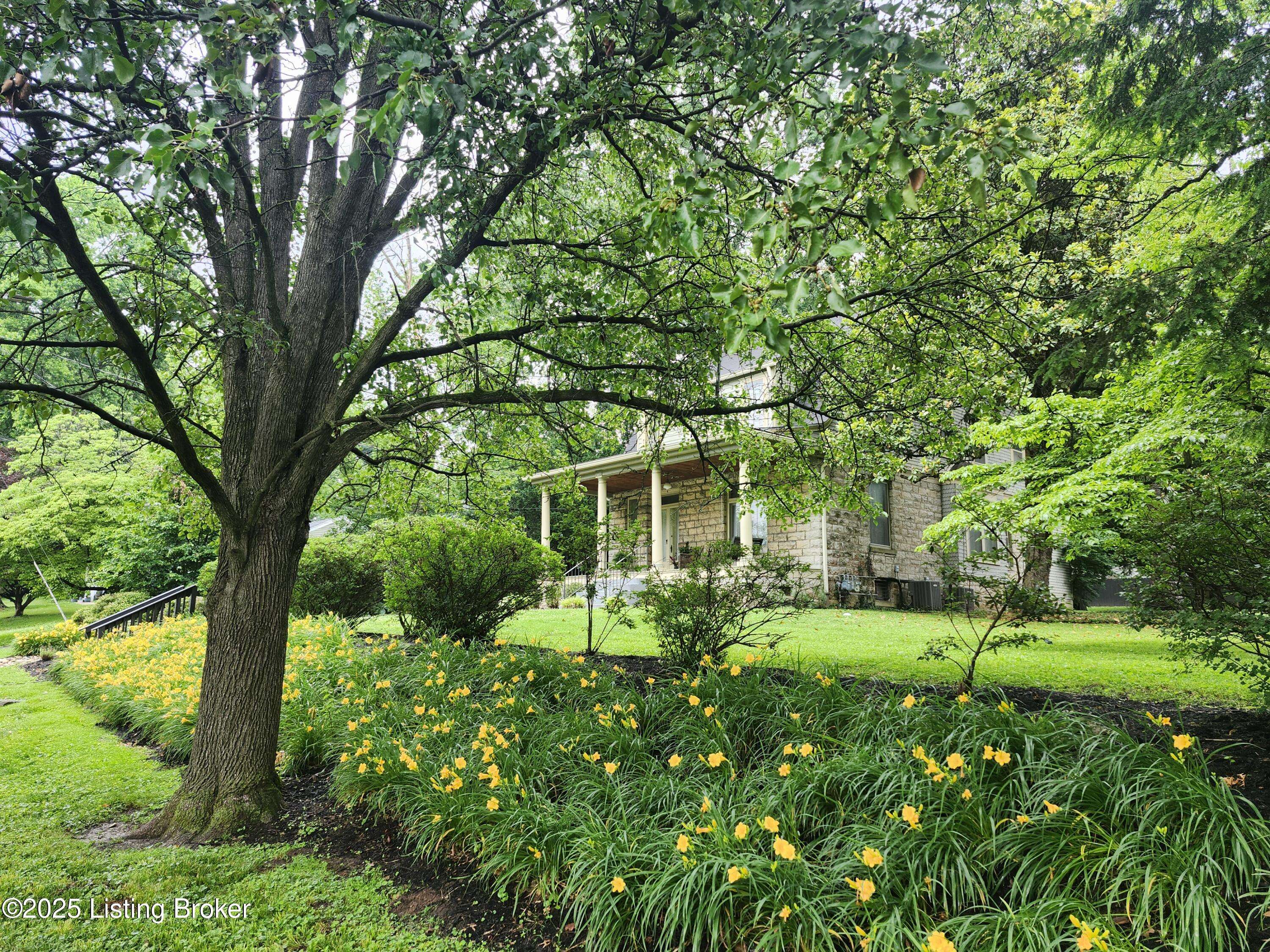 Louisville, KY 40206,139 N Crestmoor Ave