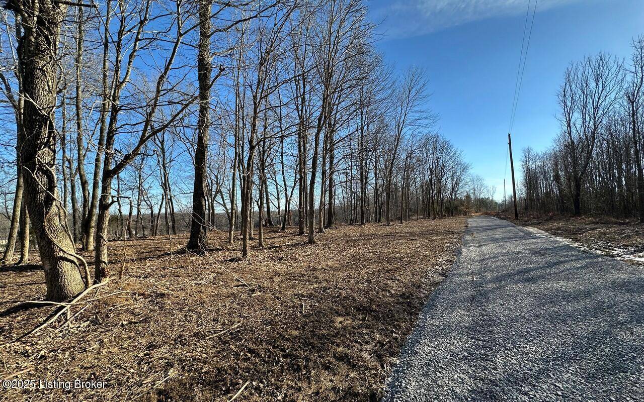 Leitchfield, KY 42754,L8 1126 Thomason Cemetery Rd