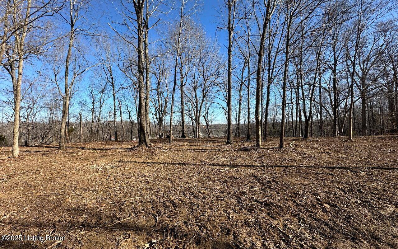Leitchfield, KY 42754,L8 1126 Thomason Cemetery Rd