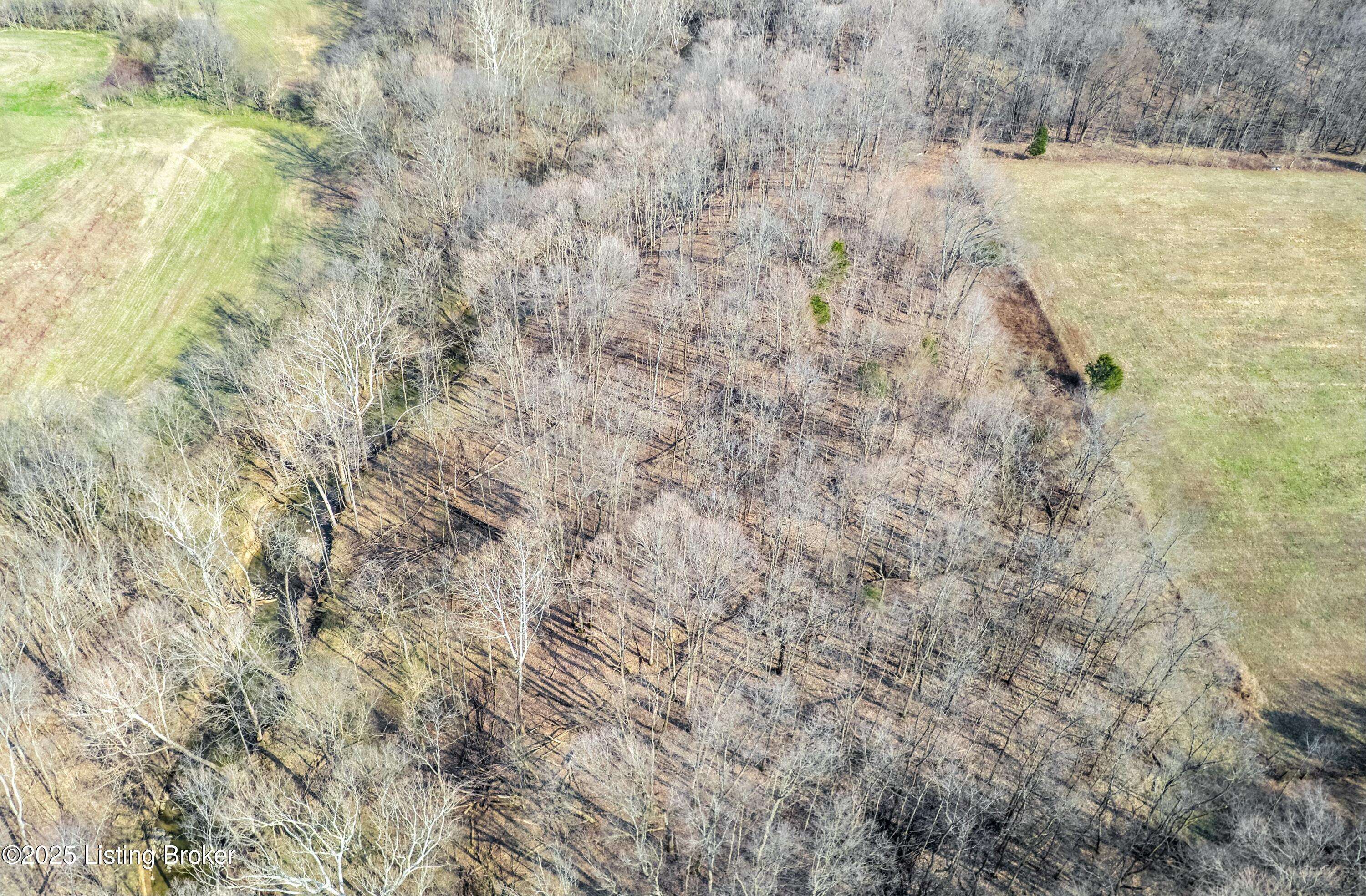 Shelbyville, KY 40065,Tract 48 Stallard Springs