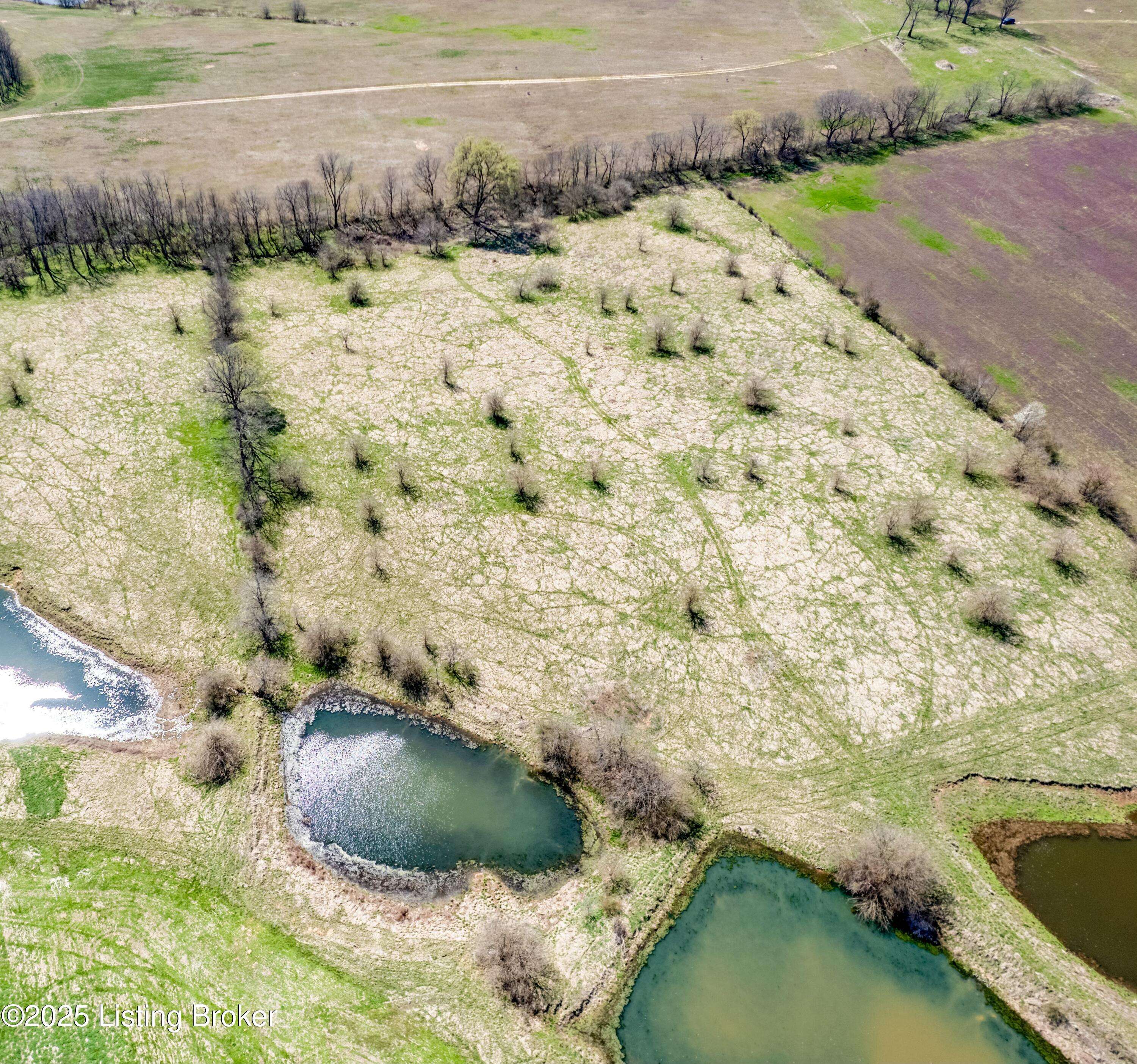 Shelbyville, KY 40065,108 Stallard Springs North