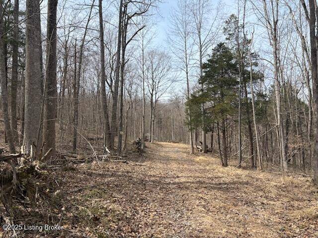 Garfield, KY 40140,459 Maggie Ct