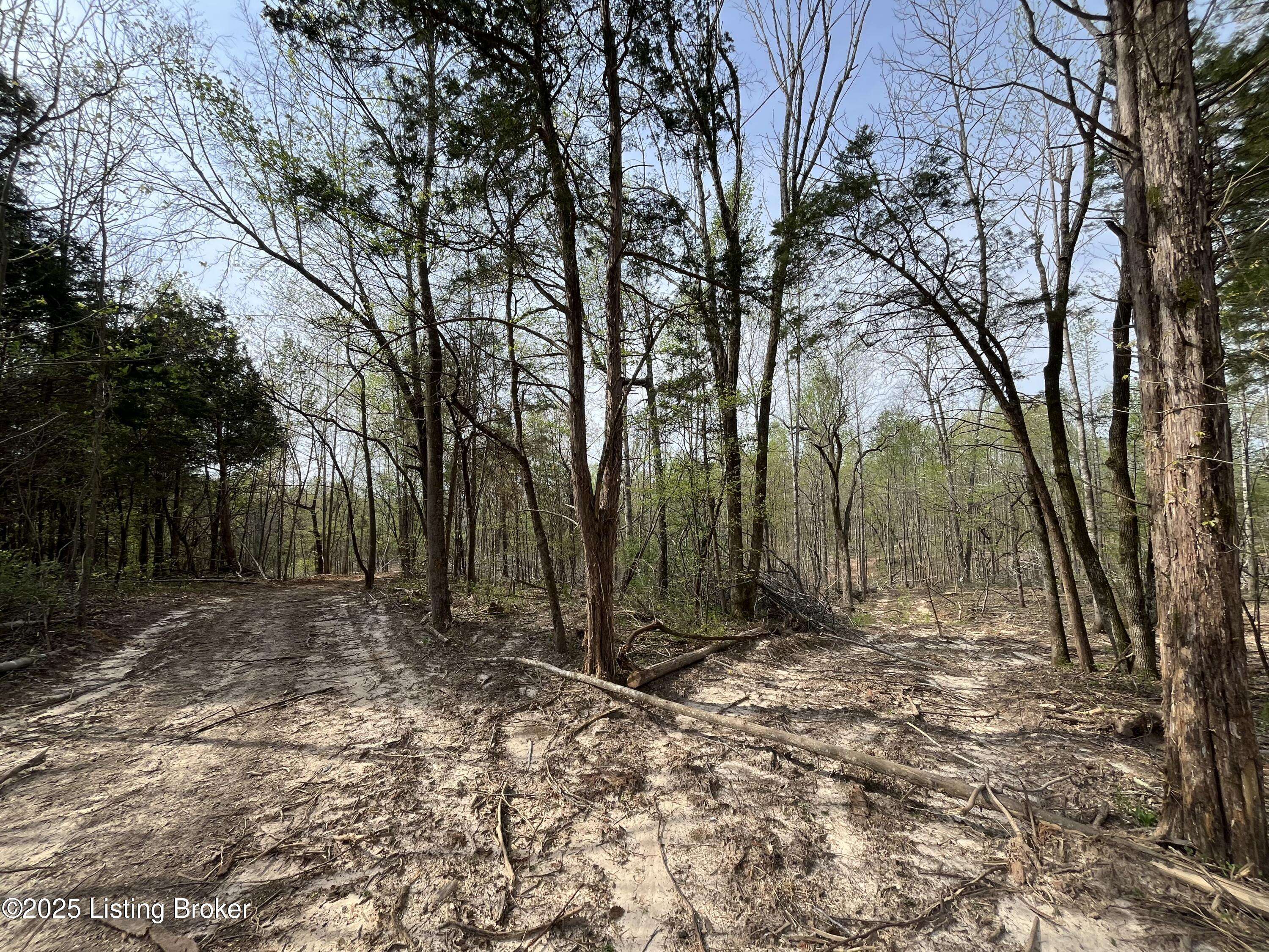 Bonnieville, KY 42713,0 Gaddie Cottrell Road