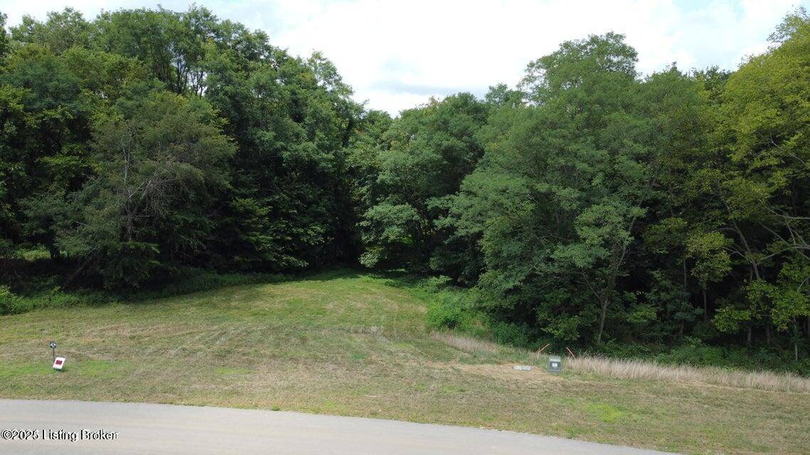 Shelbyville, KY 40065,Lot 45A Stallard Springs