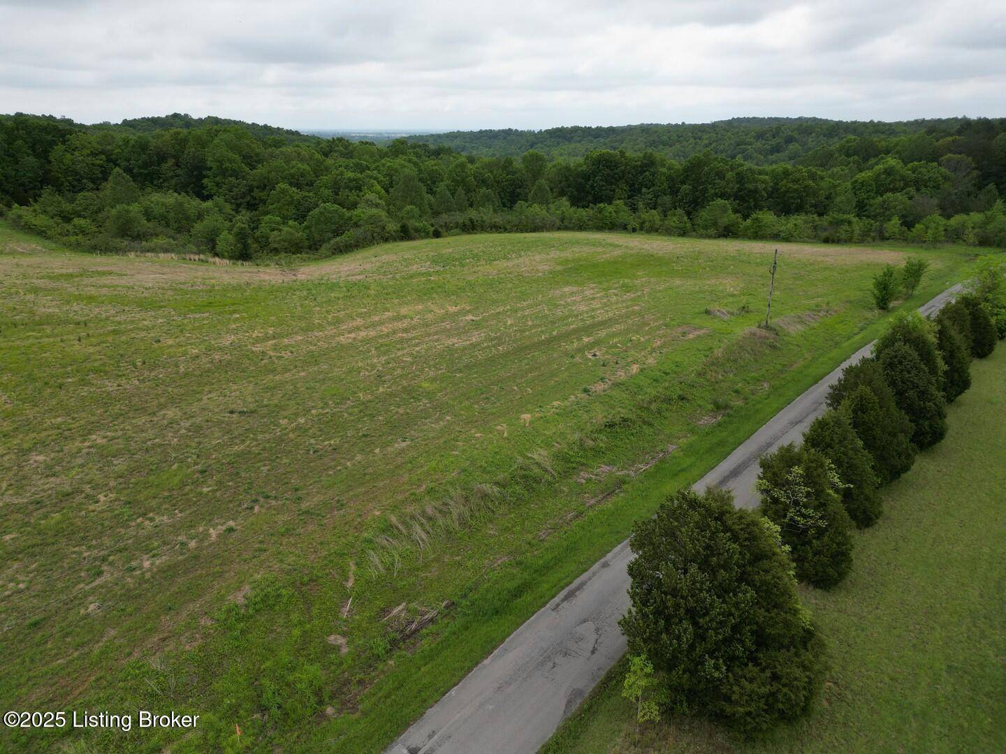 Caneyville, KY 42721,Lot 5 Duvall Rd
