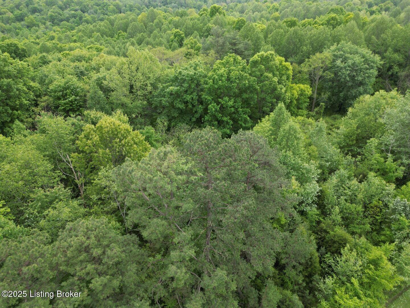 Caneyville, KY 42721,Lot 8 Duvall Rd