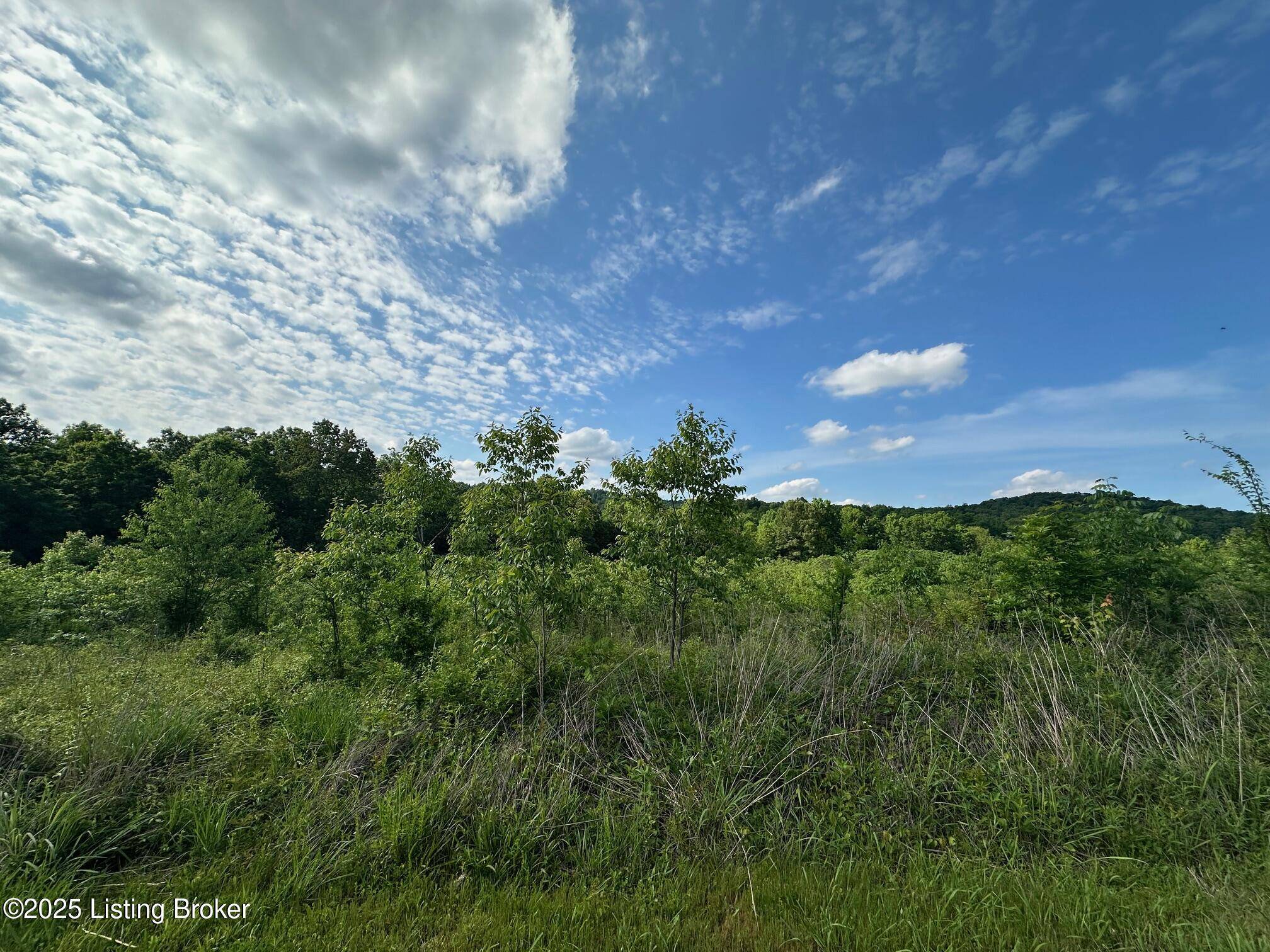 Falls Of Rough, KY 40119,0 Blain Cannon Rd