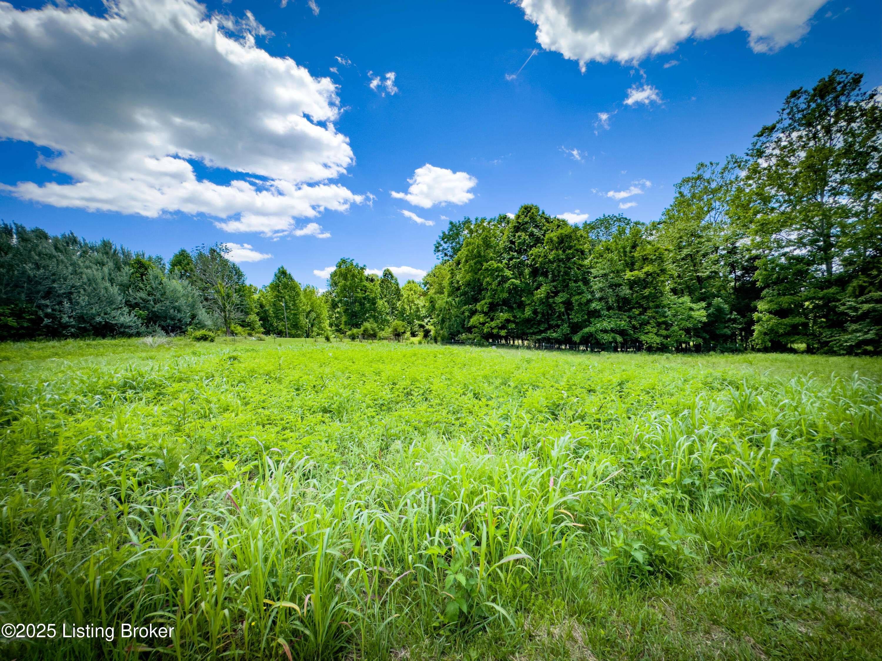 Caneyville, KY 42721,1073 Post-Tousey Rd