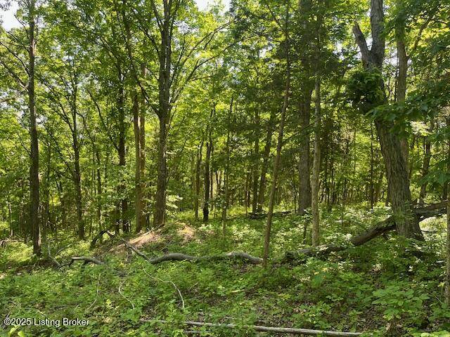Lockport, KY 40036,1745 Carters Rd #0