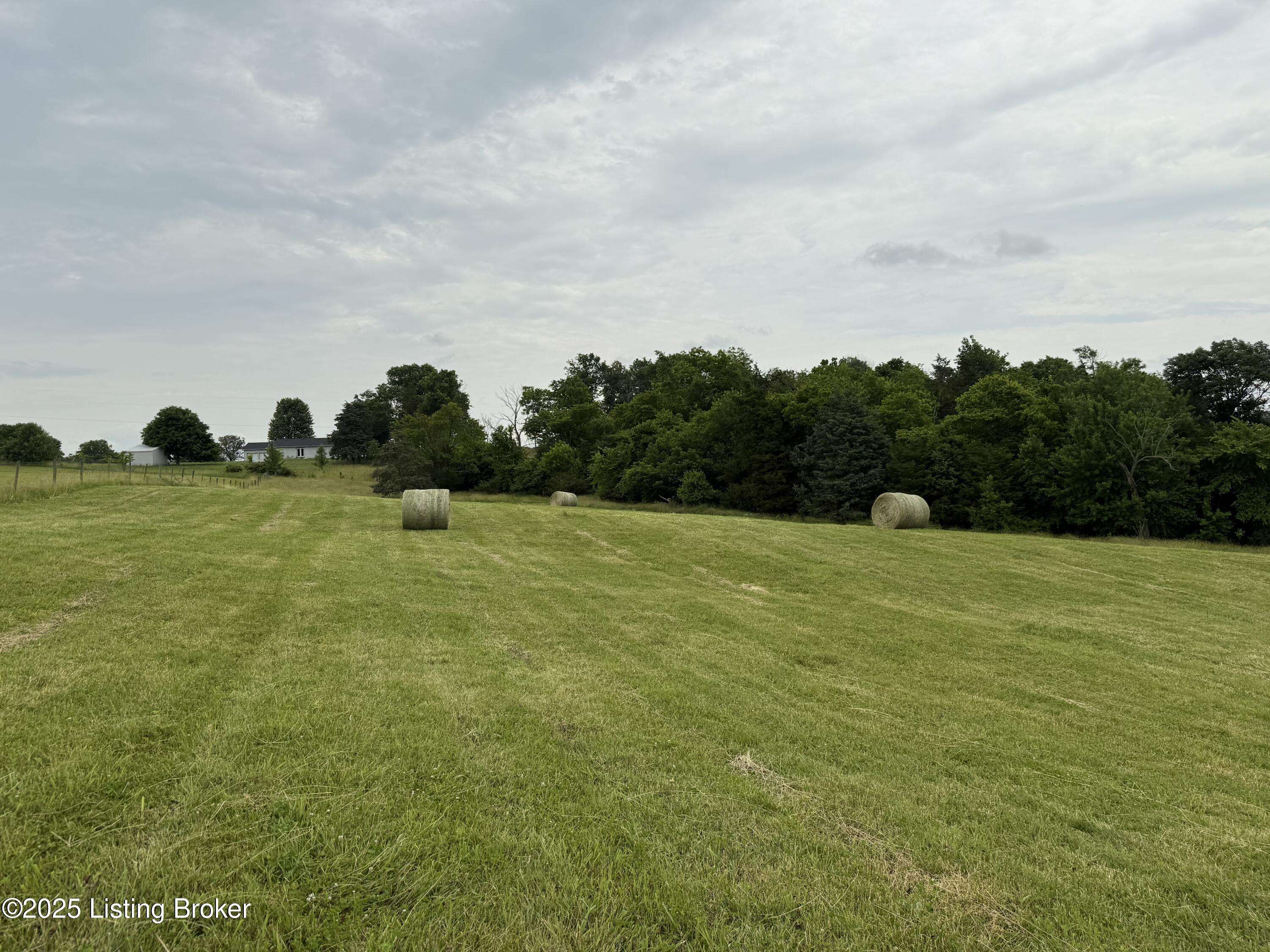 Springfield, KY 40069,Tract#5 Goatley Ln