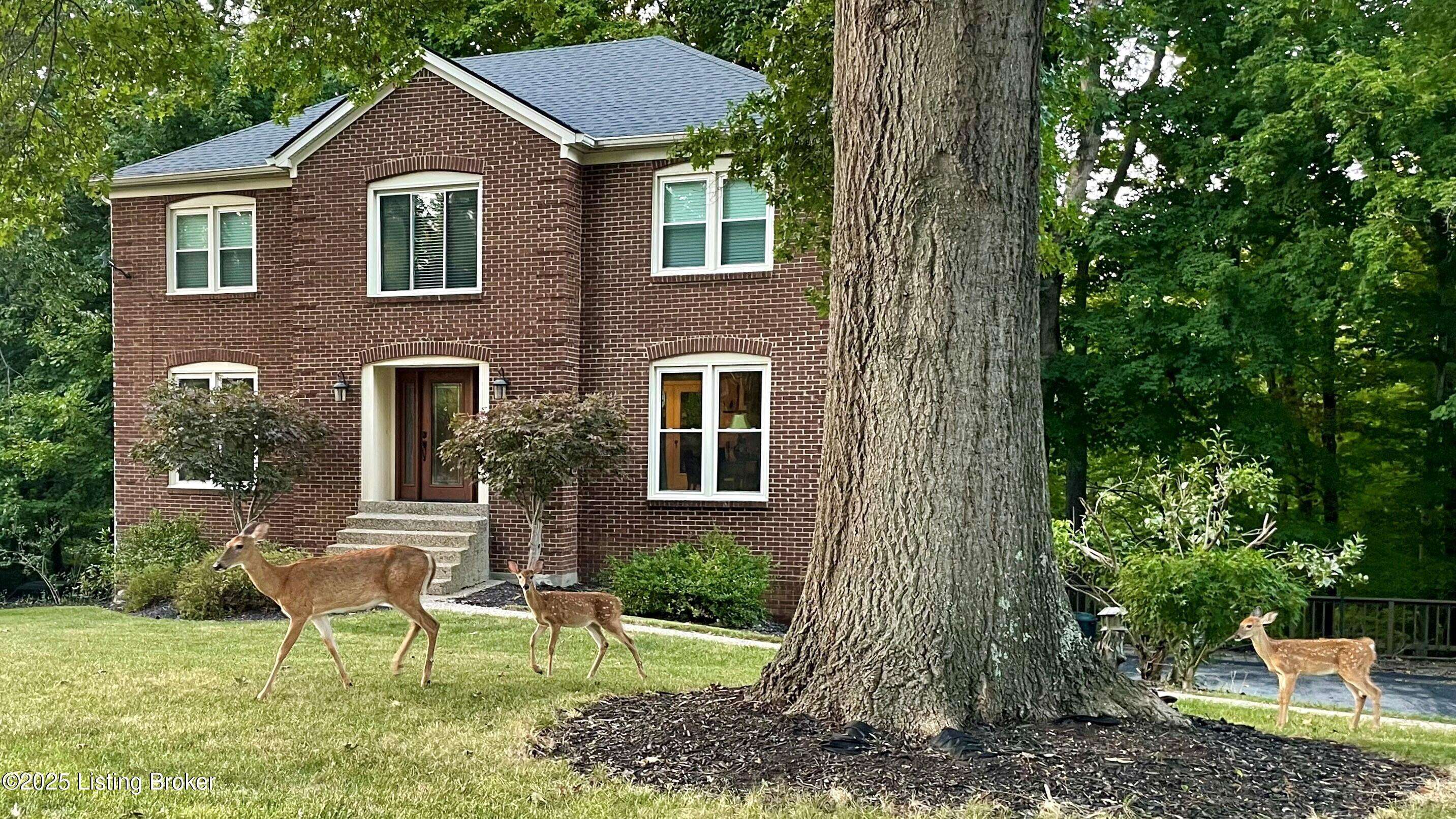 Goshen, KY 40026,12907 Settlers Point TRL