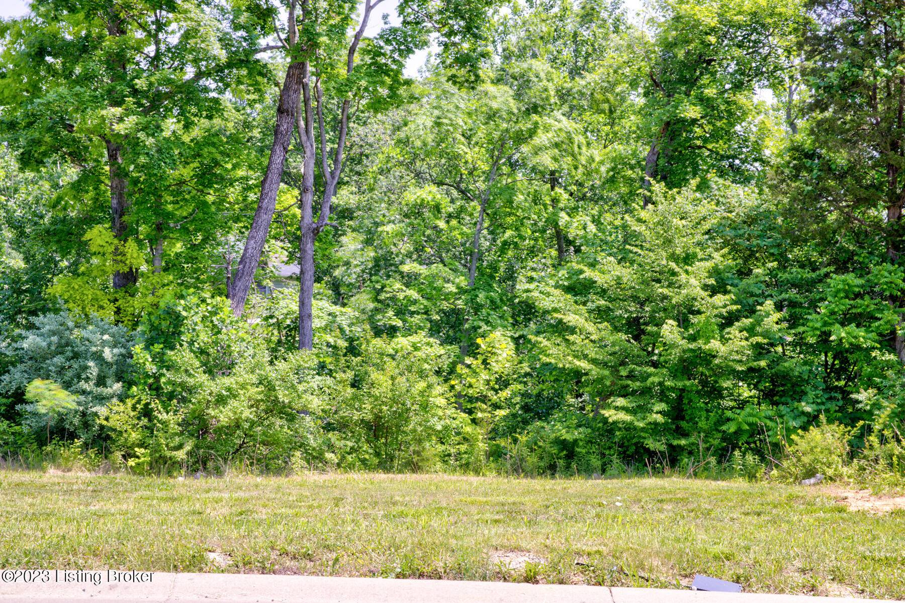 Mt Washington, KY 40047,0 Hidden Falls Dr #Lot 73