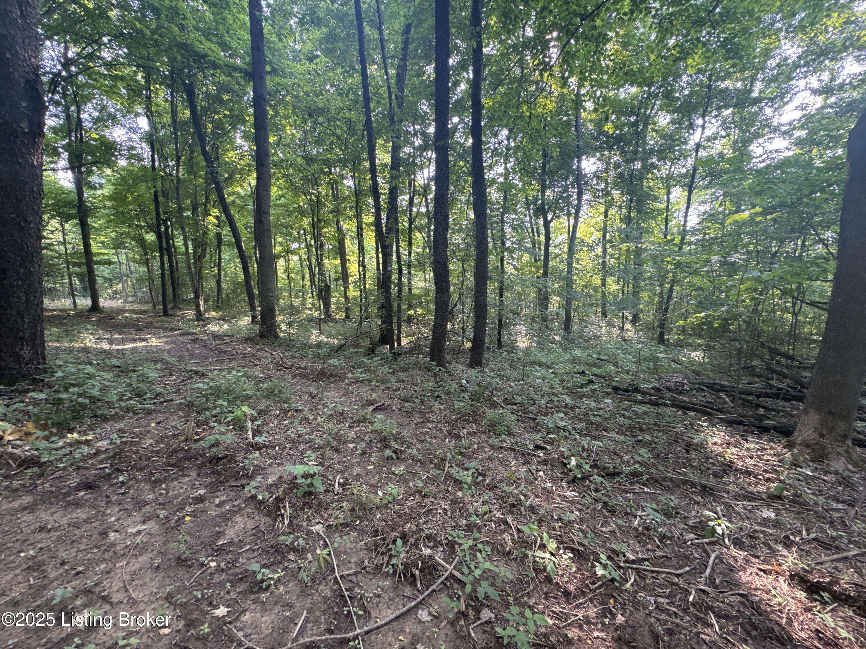 Shepherdsville, KY 40165,Lot 10 Wray Dr