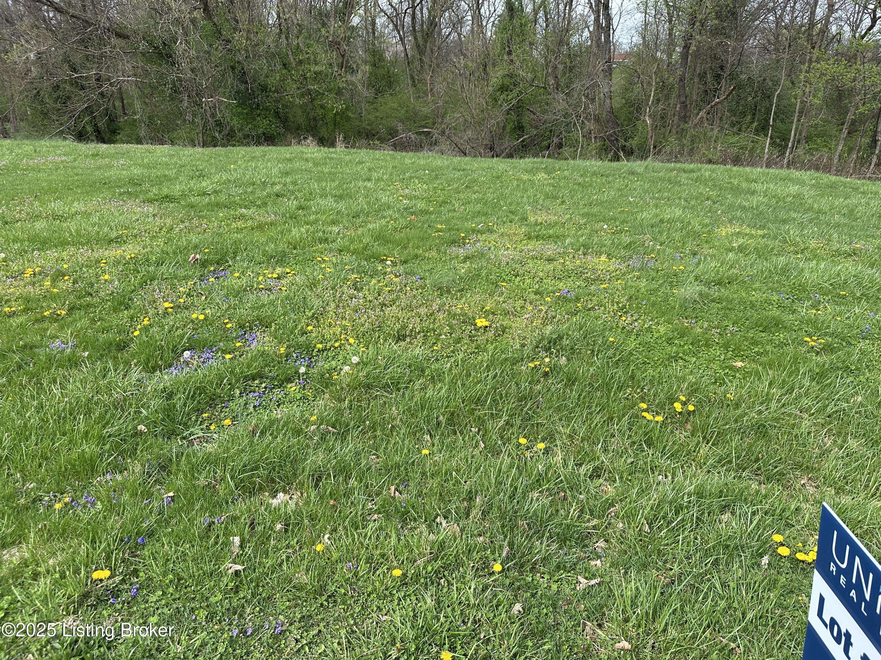 Bardstown, KY 40004,916 Woods Run Rd