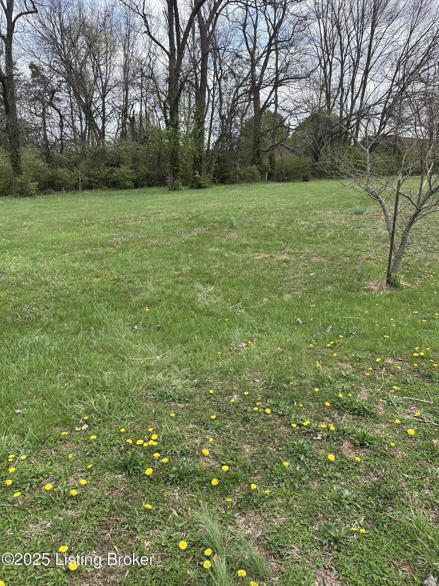 Bardstown, KY 40004,926 Woods Run Rd