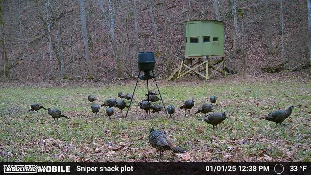 Raywick, KY 40060,0 Green Hollow Rd