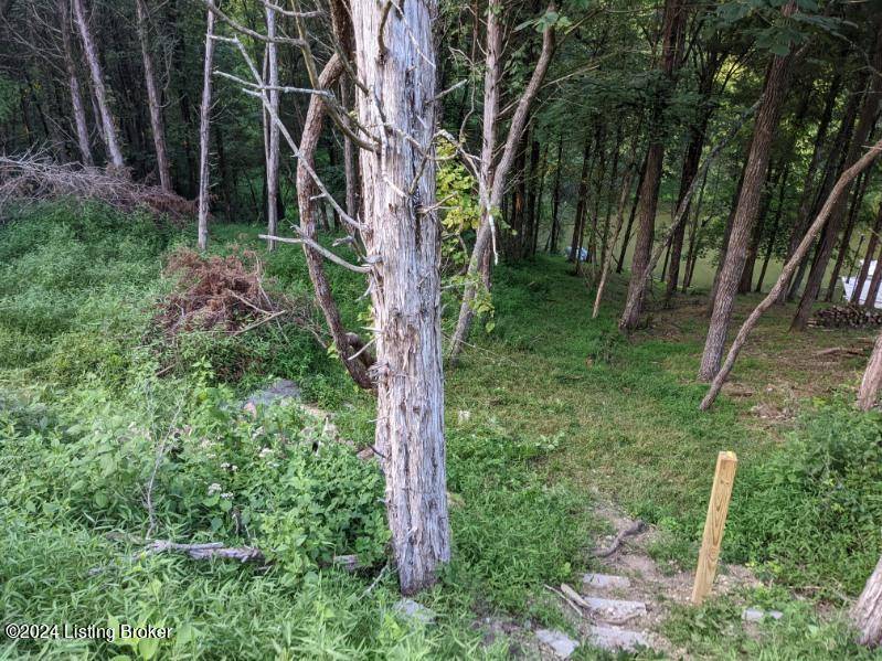 Bagdad, KY 40003,214A Trailwood Lake Rd
