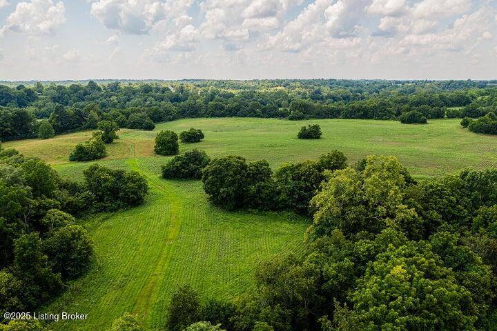 Lawrenceburg, KY 40342,1341 Nevins Station Rd