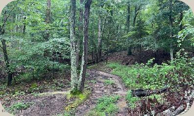 Lebanon, KY 40033,0 Happy Trails Ln