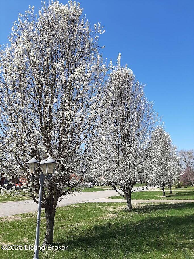 Louisville, KY 40258,6703 BARBROOK Rd