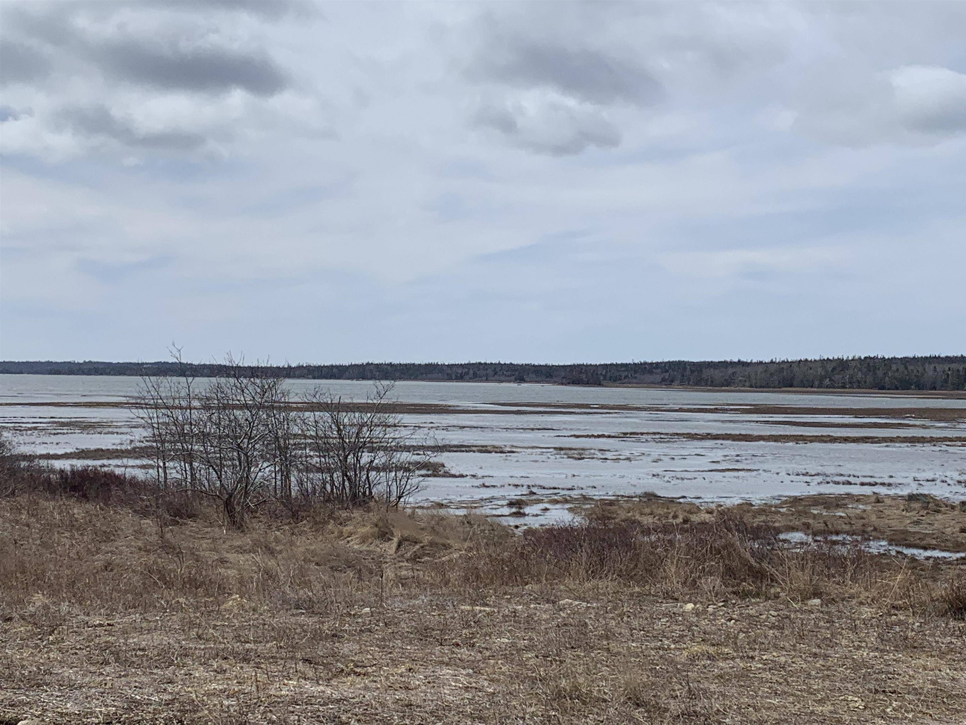 Wedgeport, NS B0W 2B0,Ditcher Rd #Lot 2