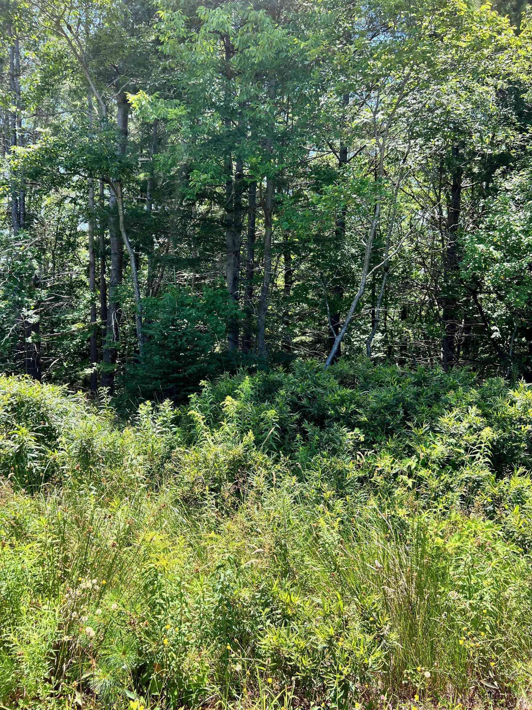 Mahone Bay, NS B0J 2E0,Lot 226 Hawthorn Rd