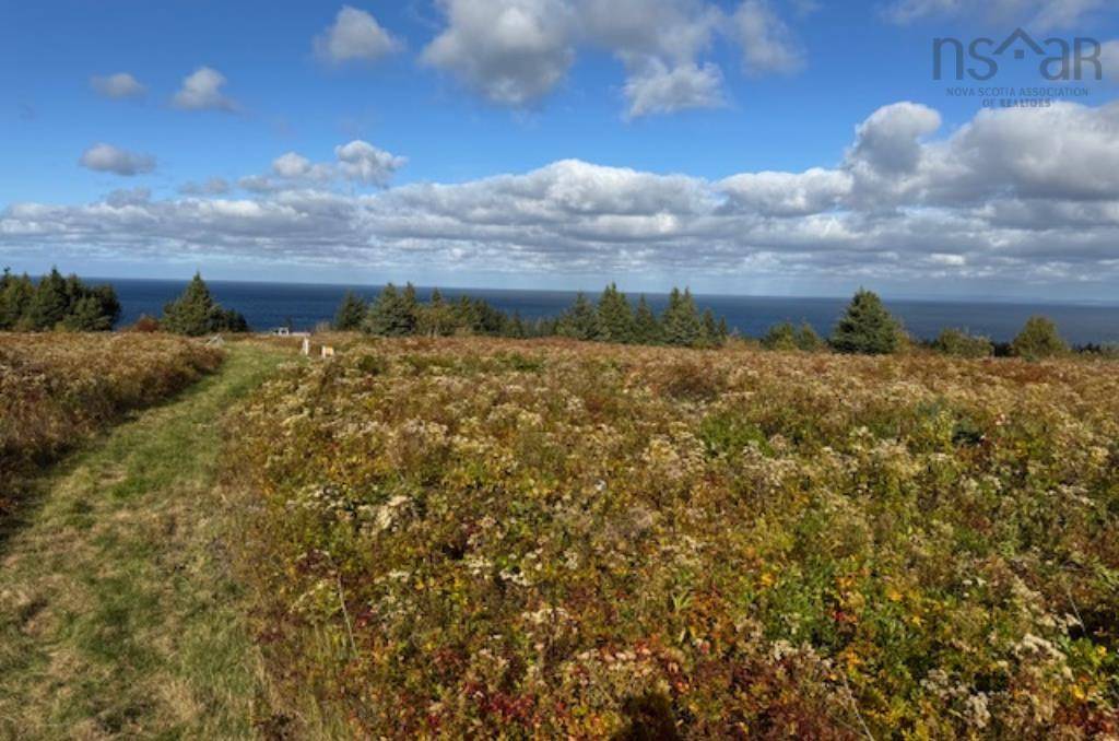 Cape George Point, NS B2G 2L2,Pid#01290402 Highway 337 #Lot