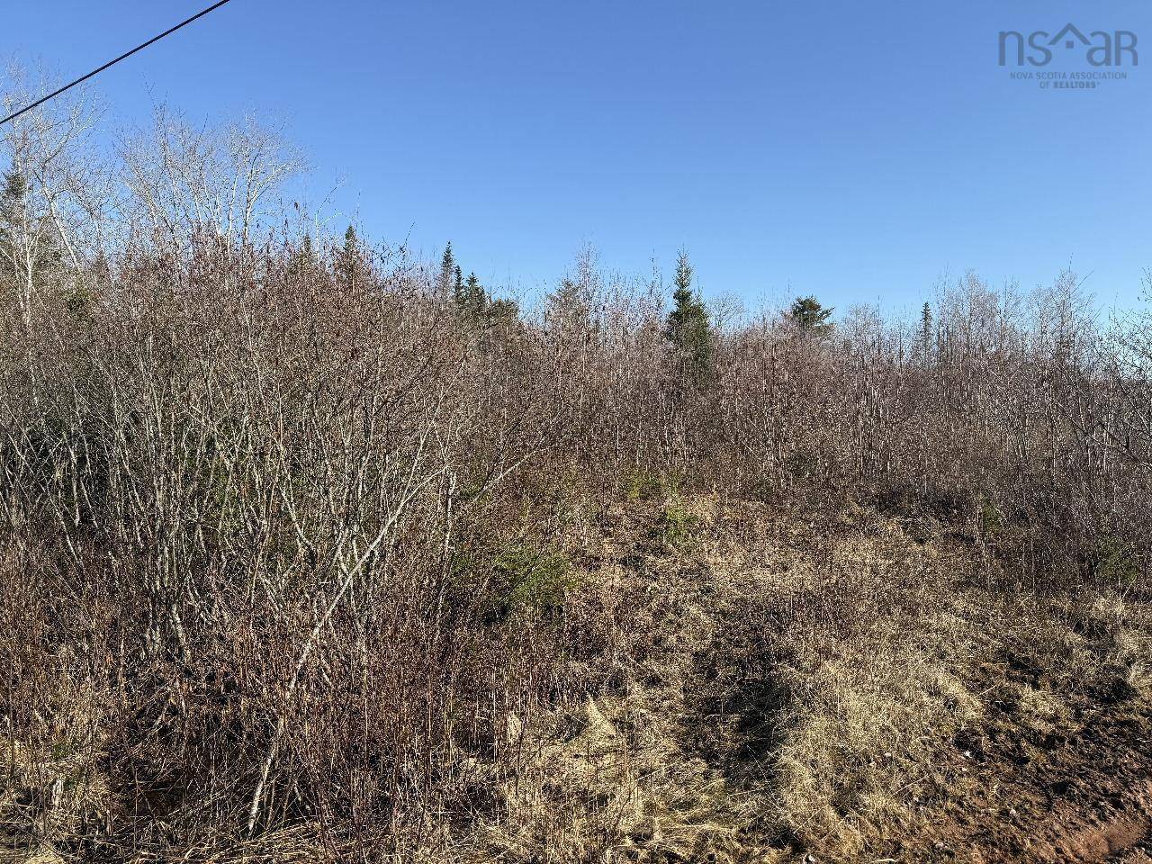 Rines Creek, NS B0N 2H0,Hickory Ln #Lot 7