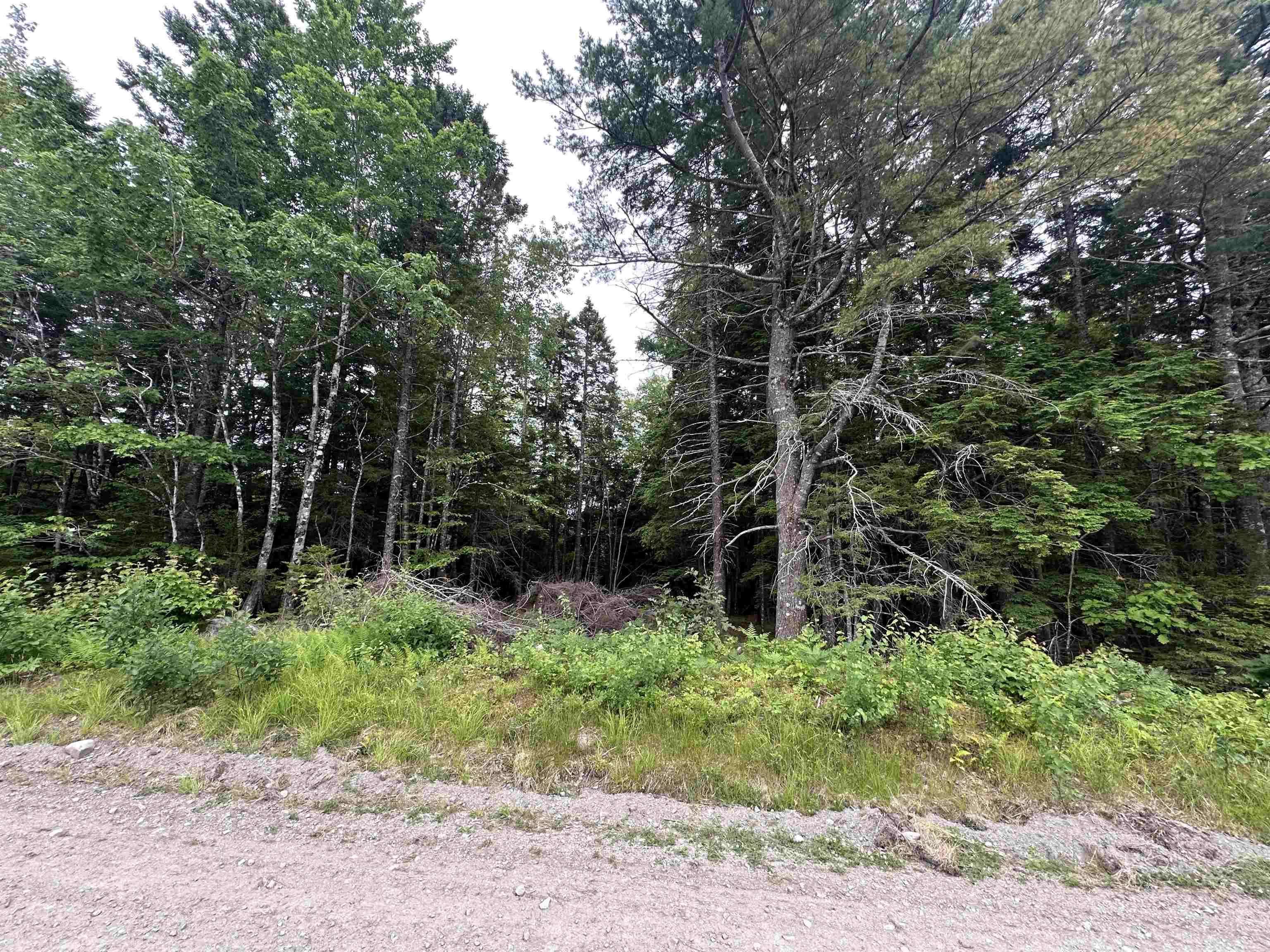 Italy Cross, NS B4V 0L3,Lot Old Italy Cross Rd