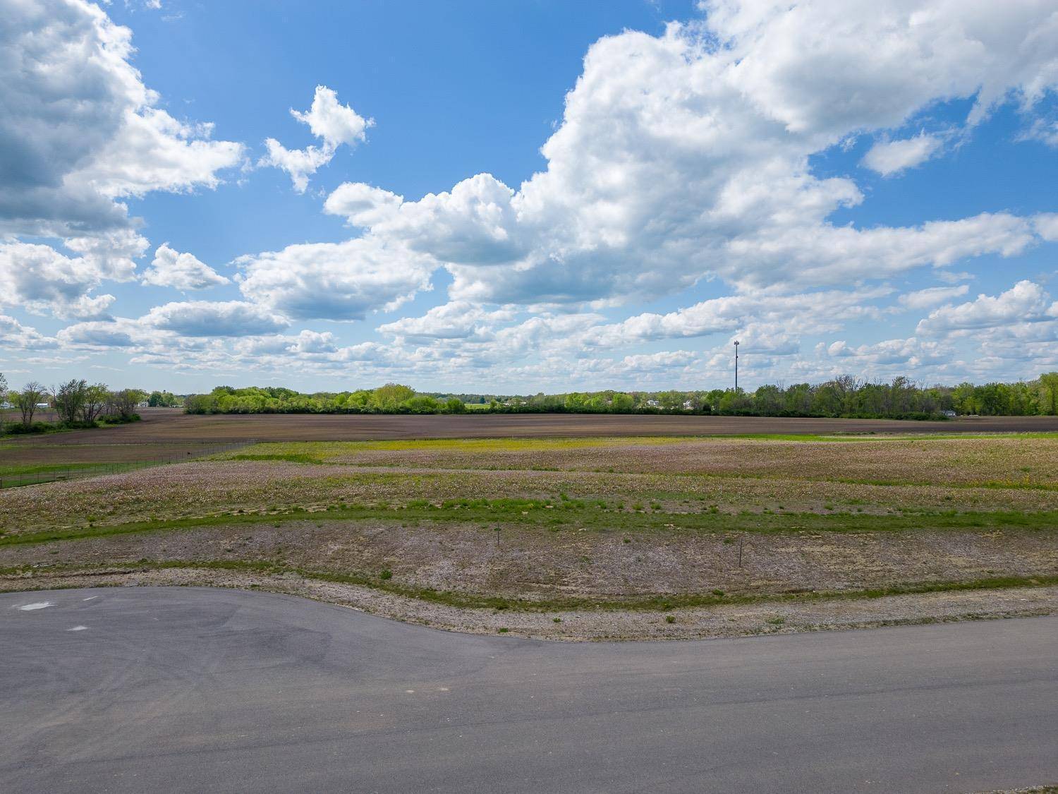 Chester Twp, OH 45177,403 Maple Point Ct #Lot 8
