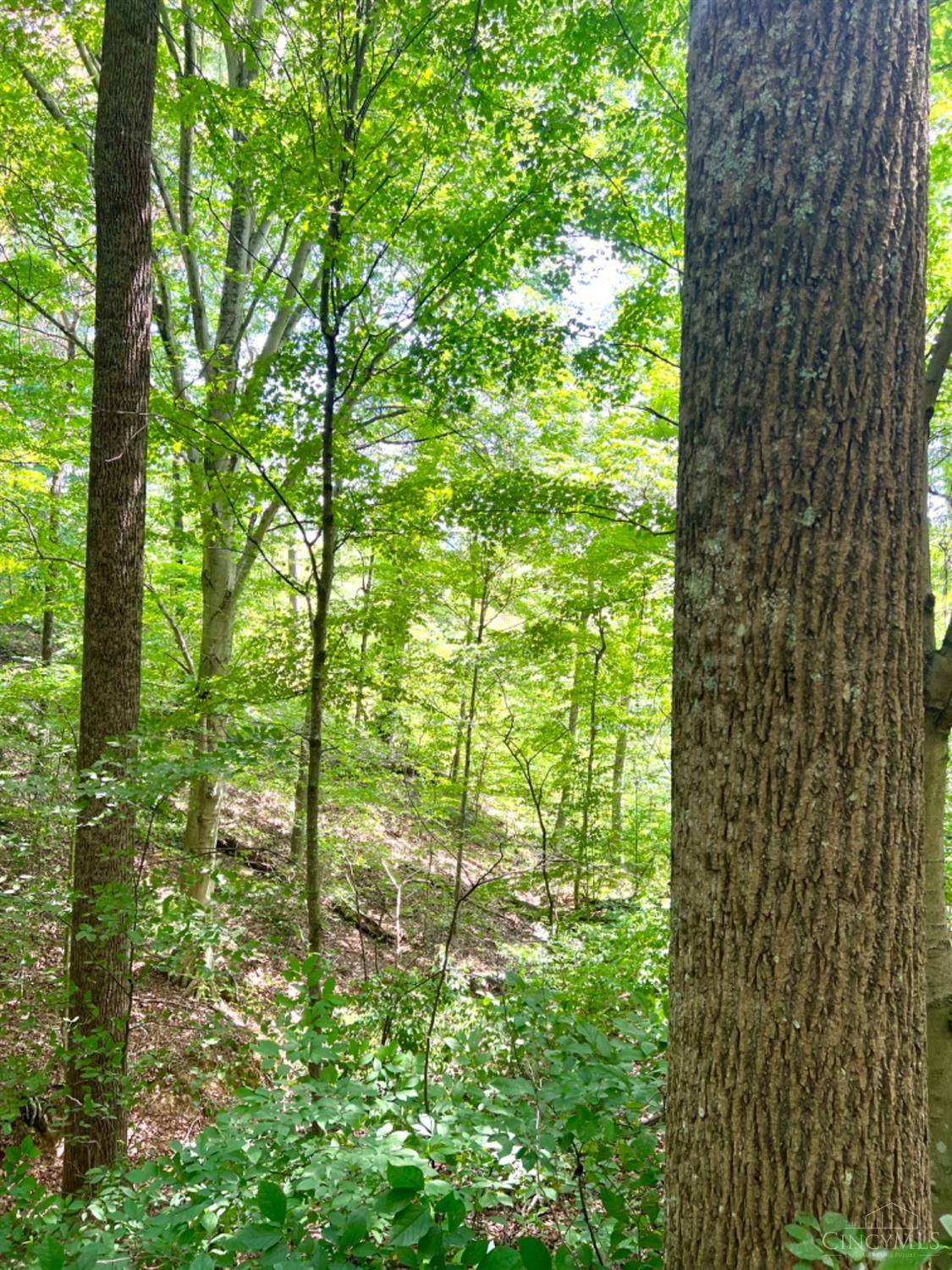 Starr Twp, OH 45764,0 St Rt 278