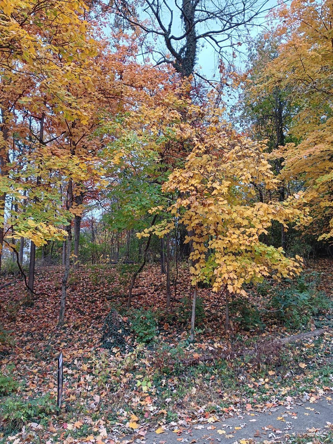 Cincinnati, OH 45212,5354 Indian Mound Ave