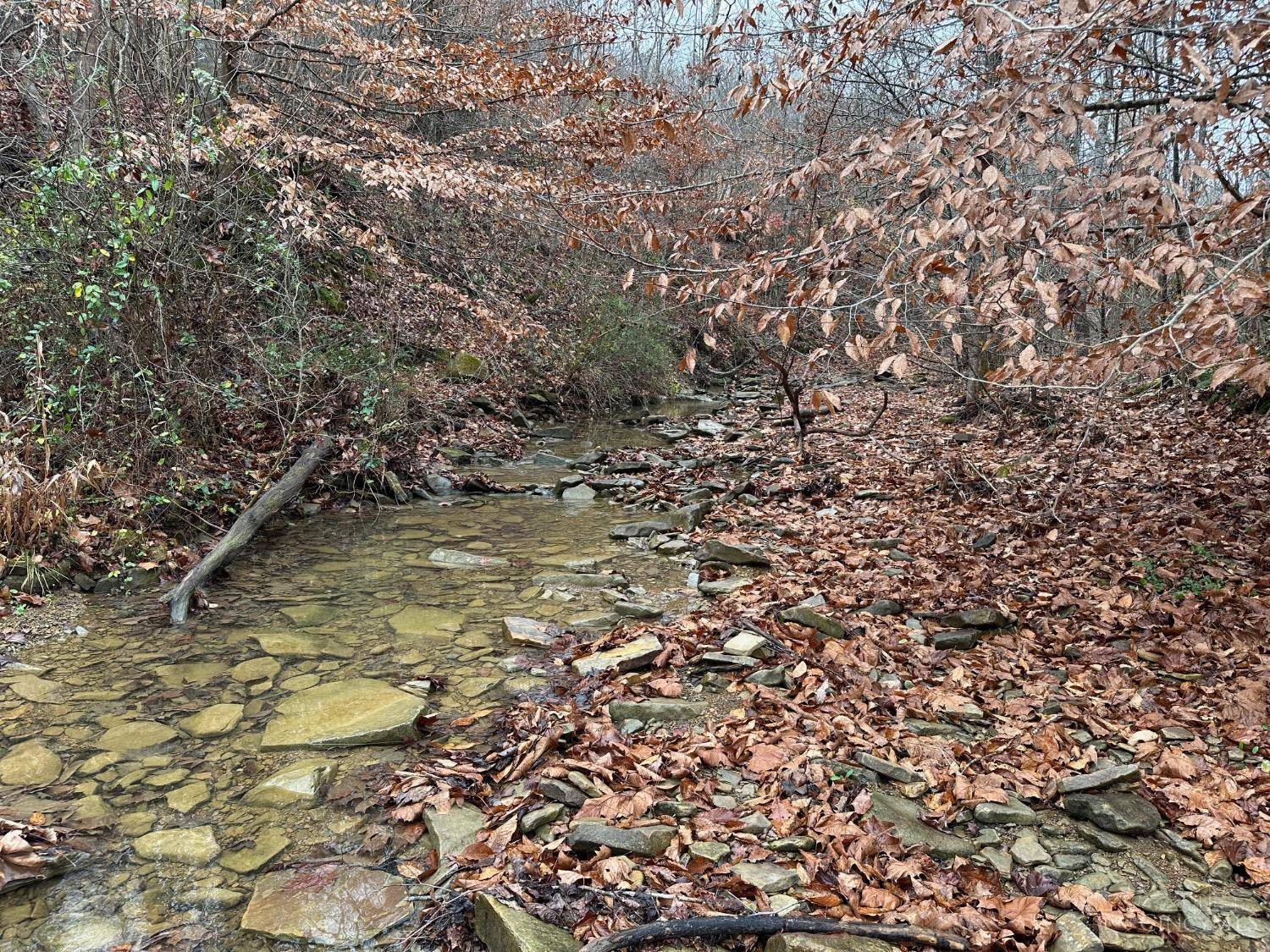 Stout, OH 45684,0 Lower Twin Creek Rd