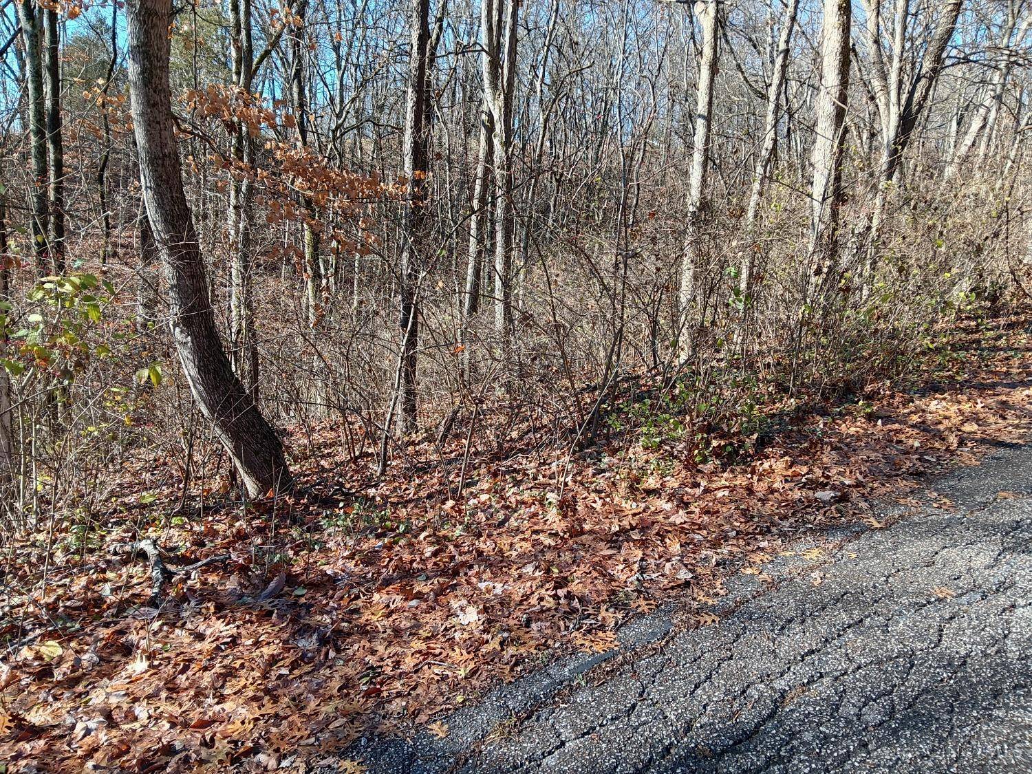 Pierce Twp, OH 45157,0 Alpine Ter