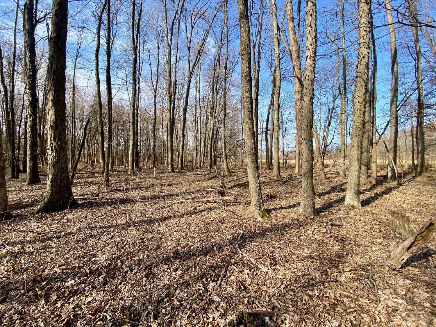 Franklin Twp, OH 45106,20 Goodwin Schoolhouse Rd