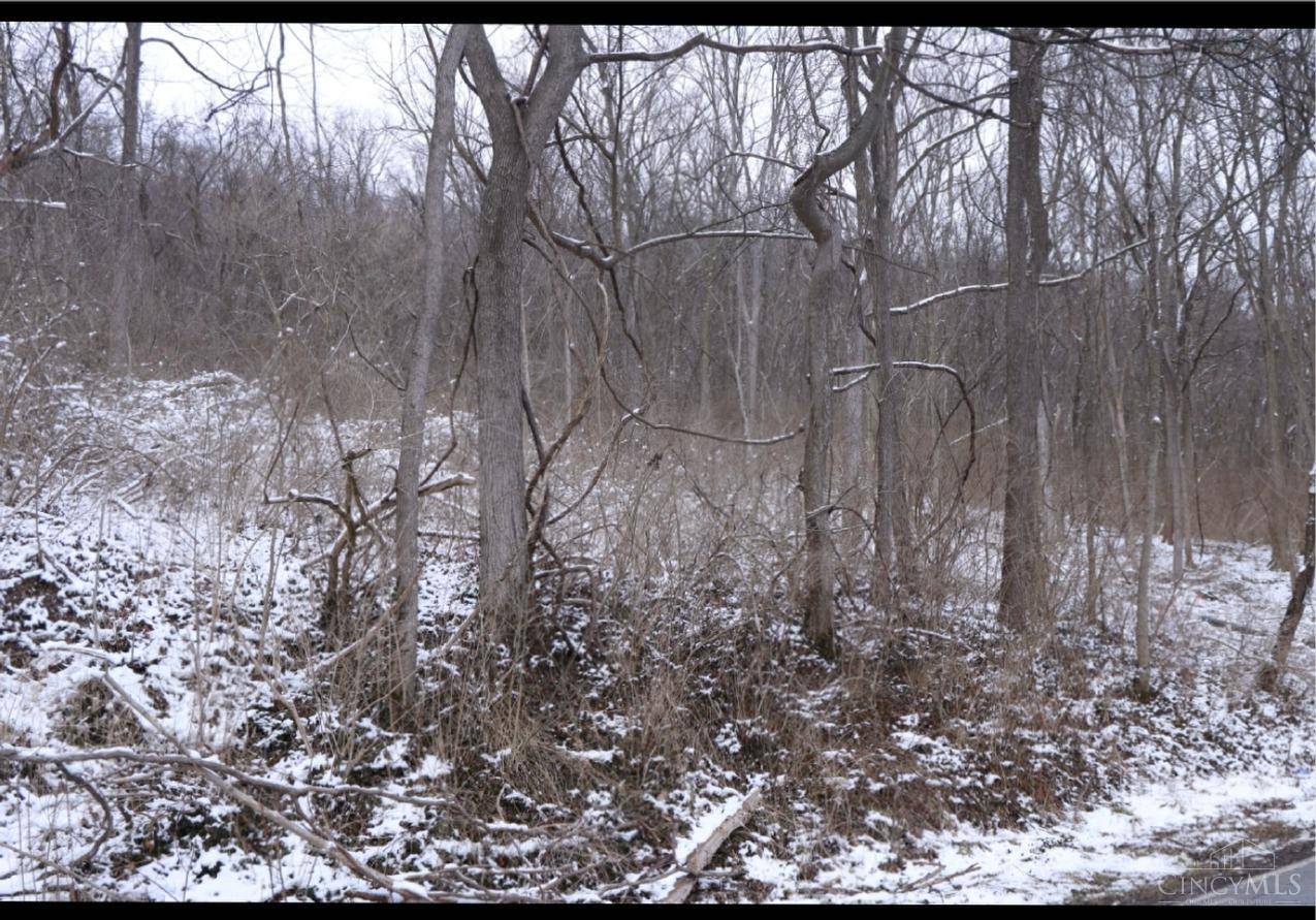 Delhi Twp, OH 45233,5320 Hillside Ave