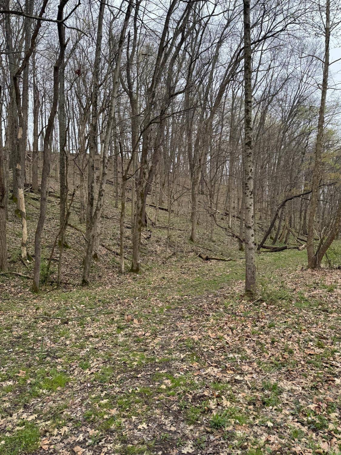 Georgetown, OH 45121,6 Stony Hollow Rd