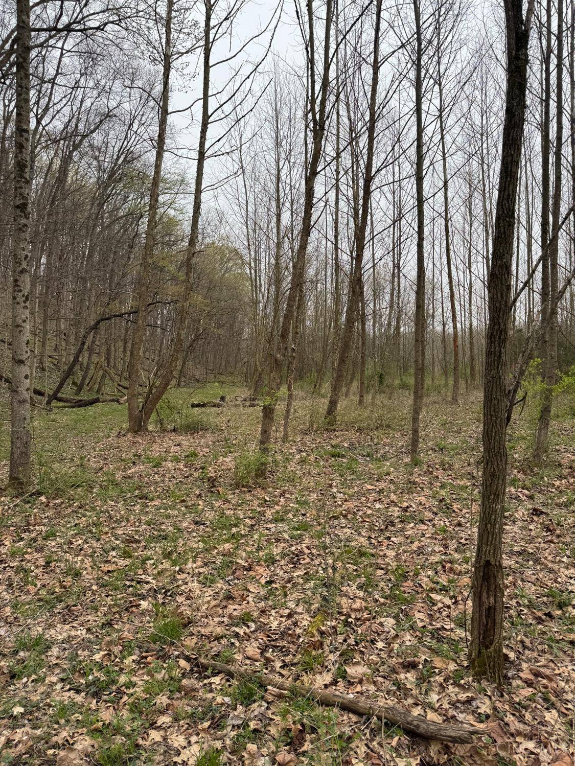 Georgetown, OH 45121,6 Stony Hollow Rd