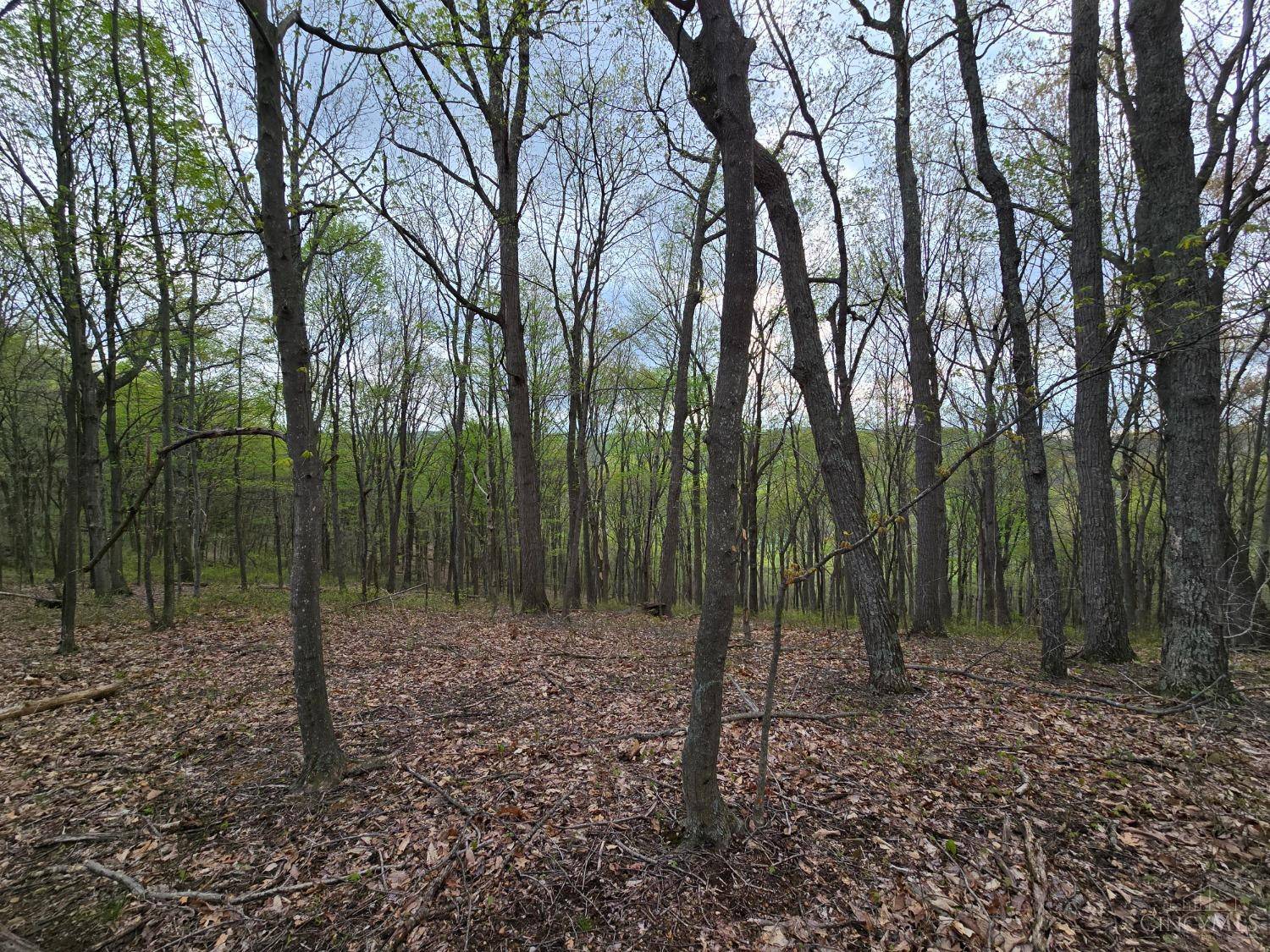 Stout, OH 45684,0 Hog Run Rd