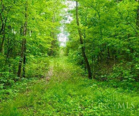 Oliver Twp, OH 45693,5 Freeland Hollow Rd